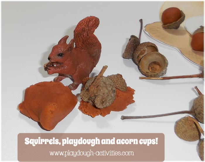 Acorn playdough and squirrel roleplay activities