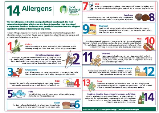 Playdough and allergy types