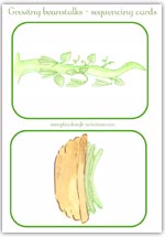 Grown beanstalk and bean picking harvest sequence card