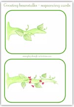 Growing beanstalks sequencing activity