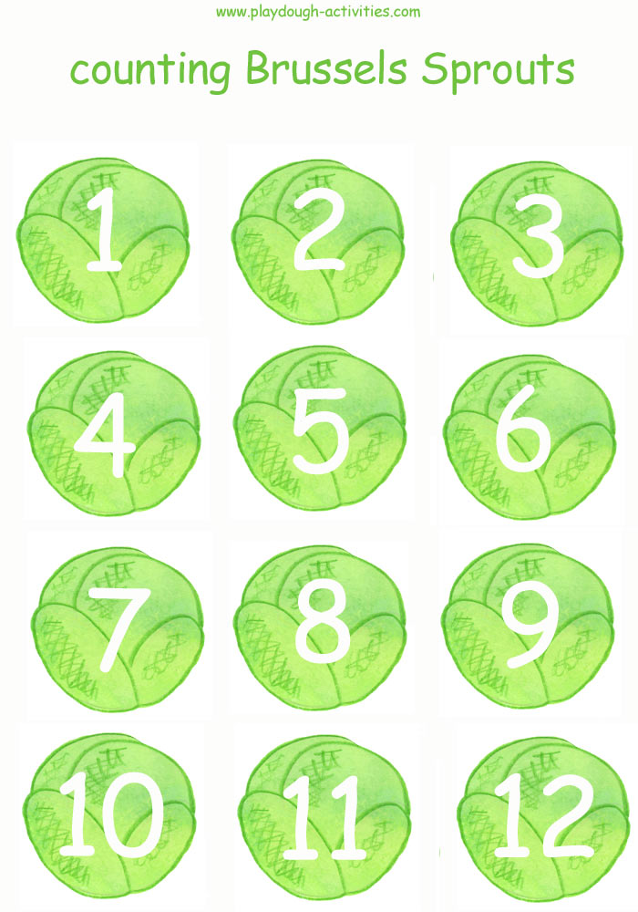 Numbered brussels sprouts 1 to 12