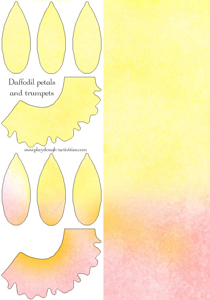 daffodil yellow orange petal and trumpet templates for playdough activities