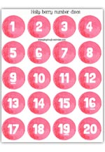 Red berry number discs 1 to 20