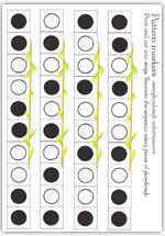 Playdough pattern sequences