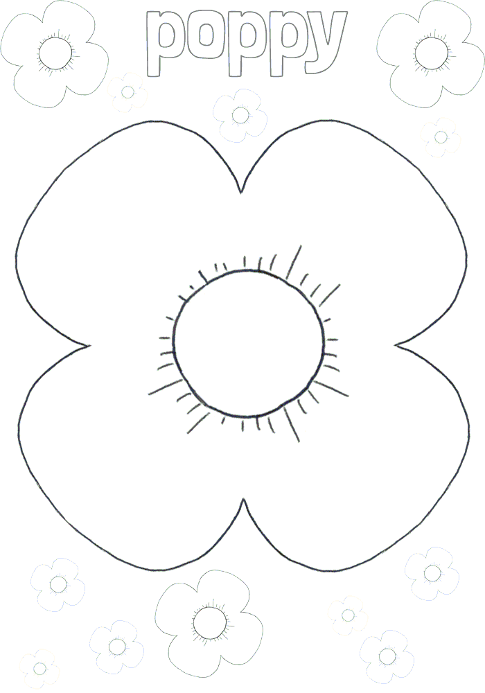 Poppy flower colouring picture