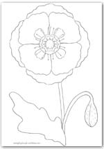 Poppy pictures black white line drawing flower printable