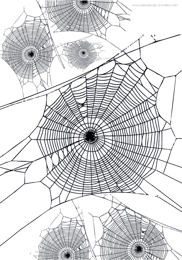 Spider webs - activity printable