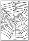 Spooky spiderweb printable