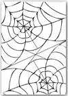 Spider web pattern colouring picture