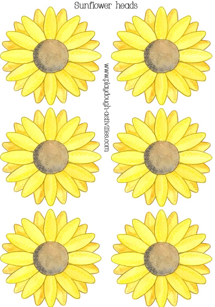 Sunflower heads for playdough activities