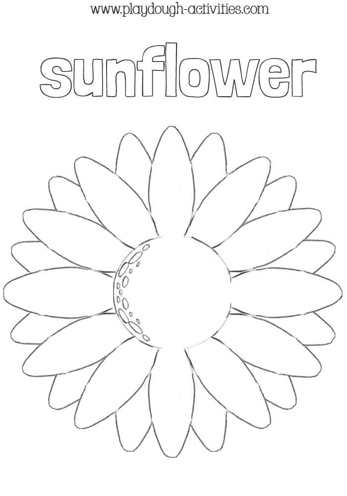 Sunflower outline template pattern
