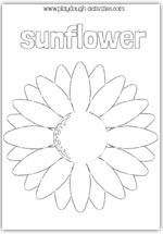 Sunflower outline template