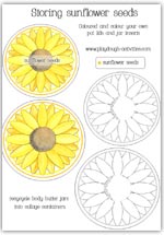 Sunflower storage pot label and insert