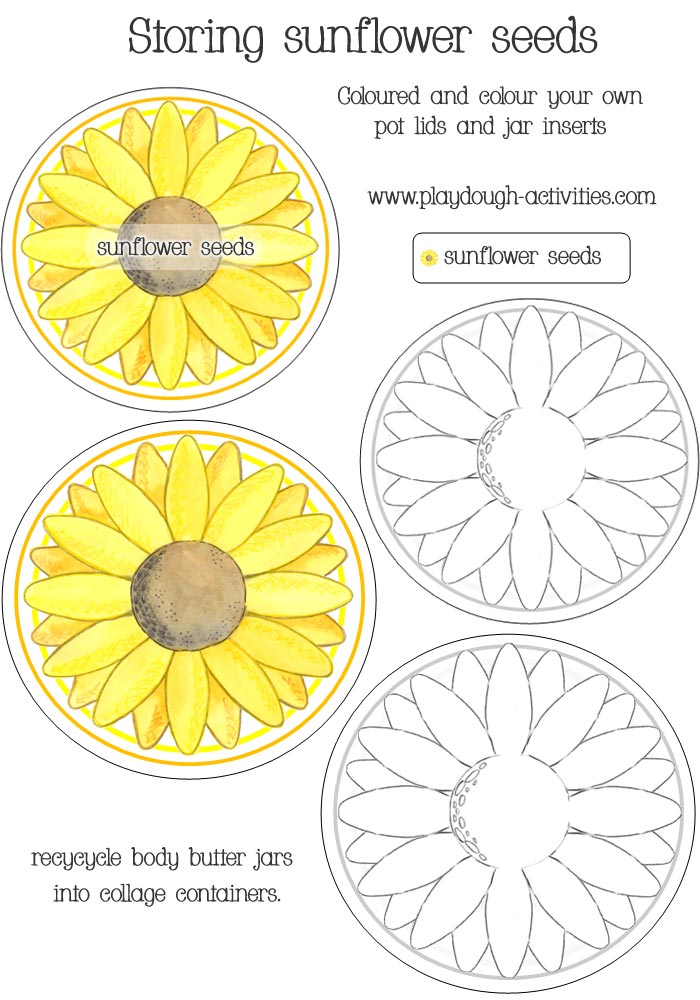 Sunflower seed storage lid label and paper insert