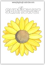 Sunflower playdough mat
