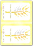 Preschool number cards 3-4
