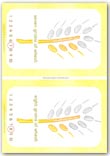 Harvest wheat counting cards for preschool and nursery - numbers 7-8
