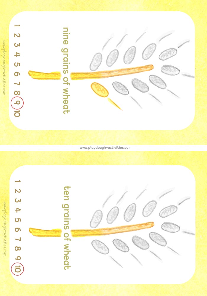 Number cards 9-10 autumn wheat grain playdough activity