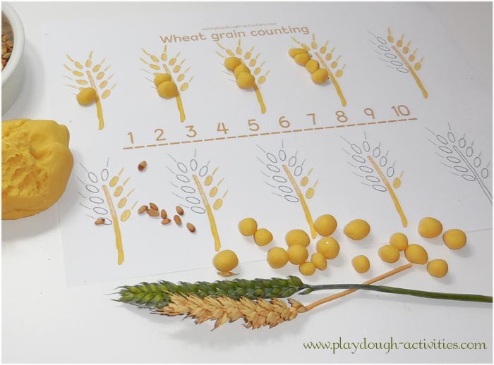 Wheat grain playdough counting activity sheet