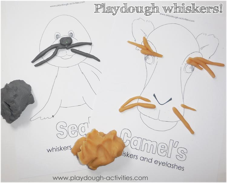 Playdough whisker rolling!
