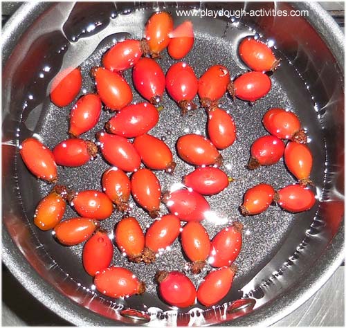 Simmering rose hips