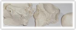 White themed playdough colours