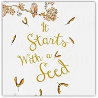 It starts with a seed - children's picture book on amazon.co.uk