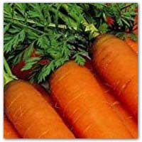 Buy carrot seeds to grow your own - amazon.co.uk