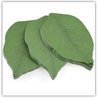 Buy leaf shapes notelets on Amazon.co.uk