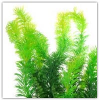 Plastic aquarium fish tank plant