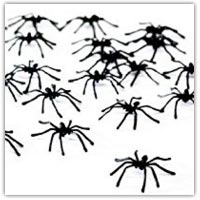 Buy plastic spiders on Amazon.co.uk