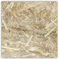 Buy straw on Amazon.co.uk