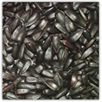 Buy sunflower seeds on amazon.co.uk