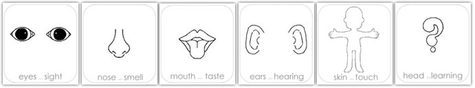 the five senses and intellect
